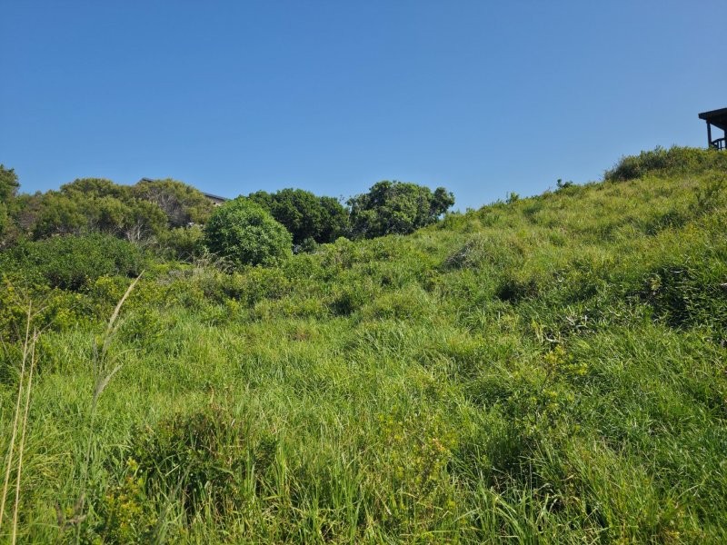 0 Bedroom Property for Sale in Paradise Beach Eastern Cape